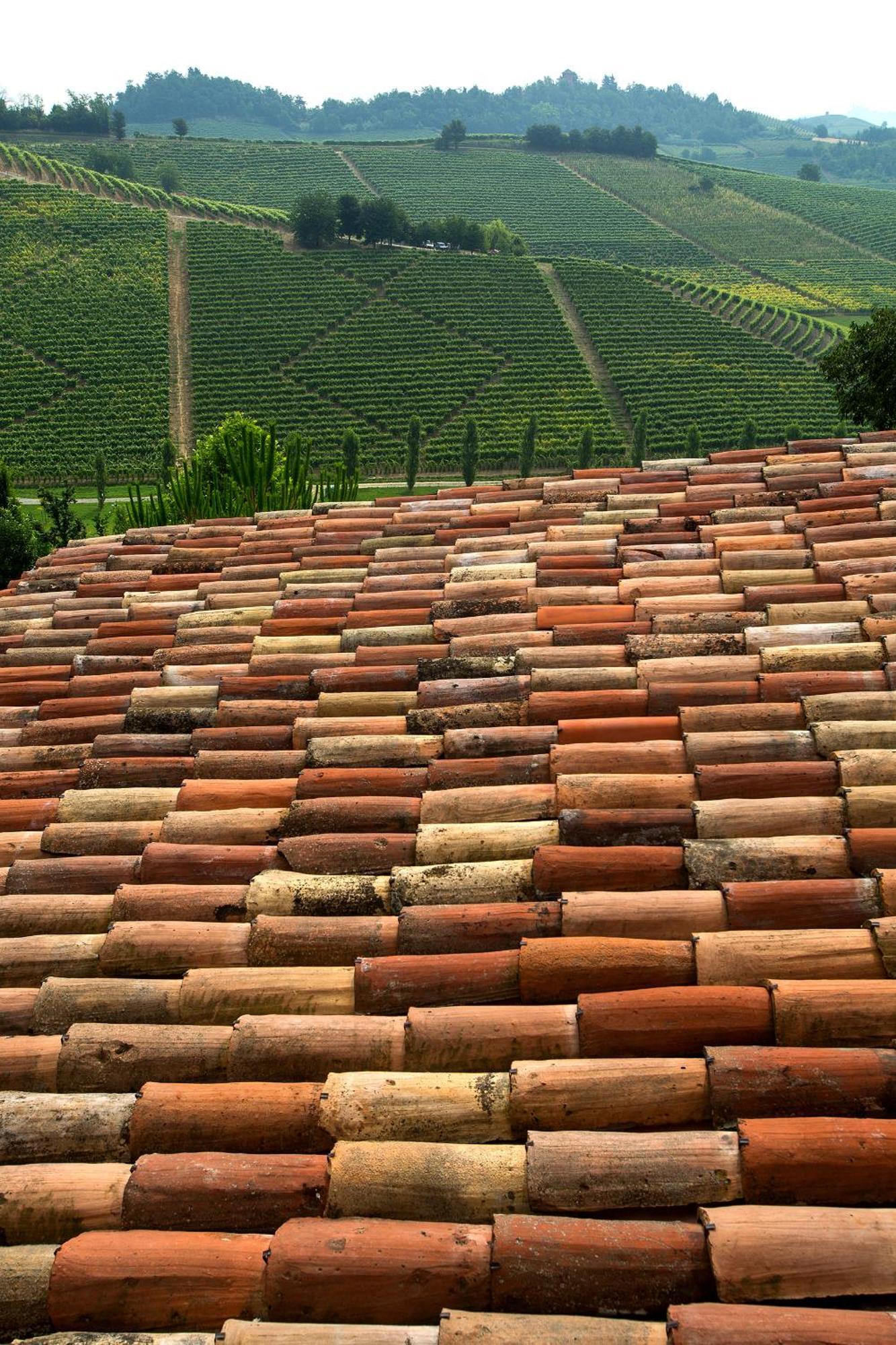 Relais Di Tenuta Santa Caterina B&B Grazzano Badoglio Szoba fotó