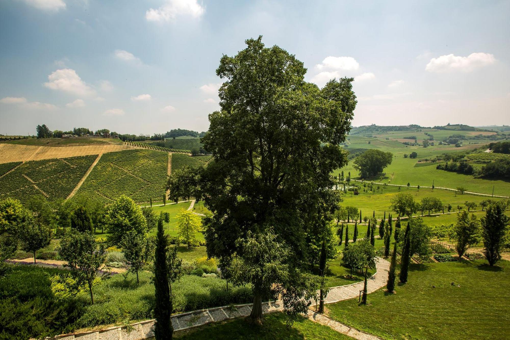 Relais Di Tenuta Santa Caterina B&B Grazzano Badoglio Szoba fotó