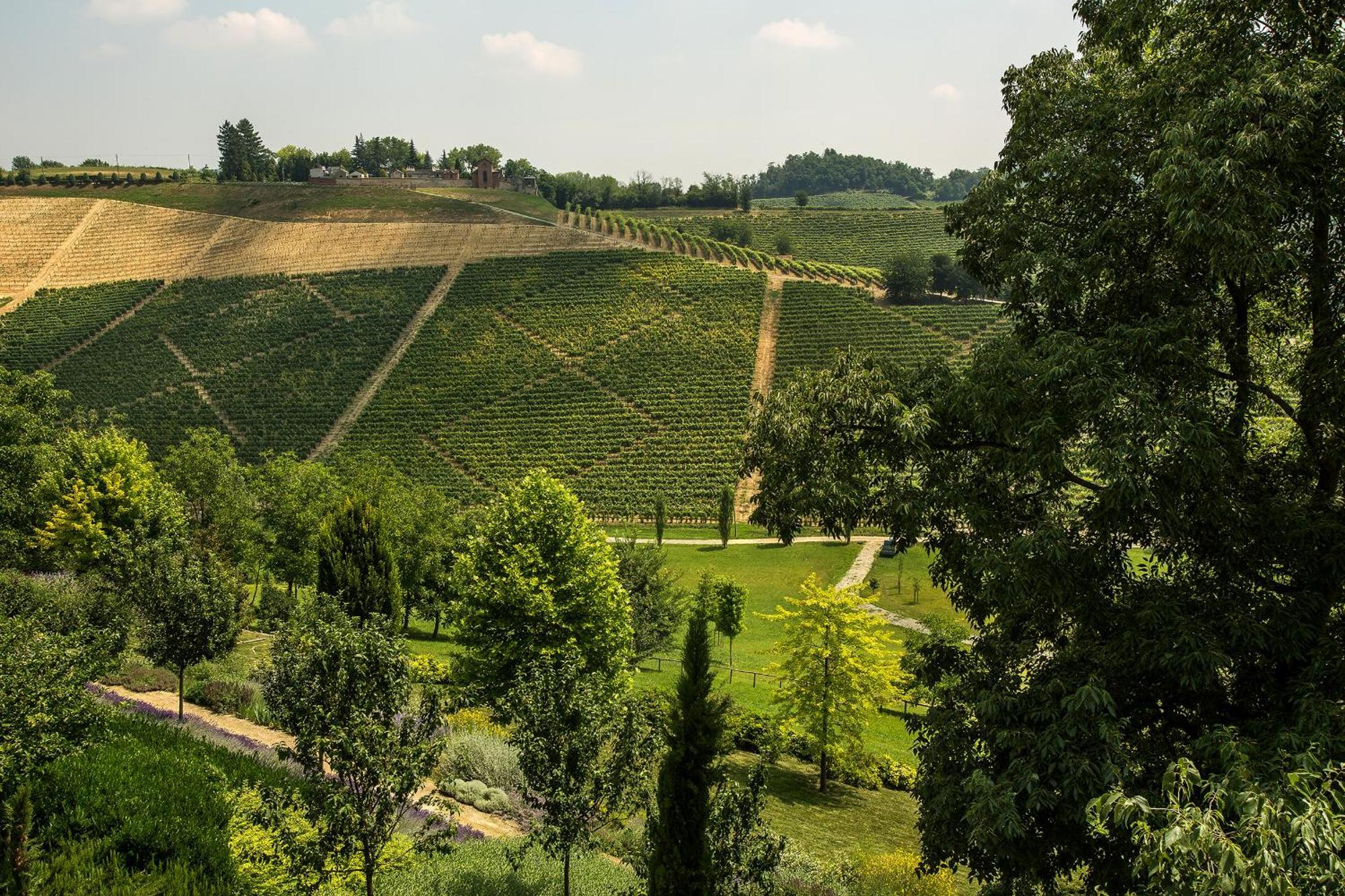 Relais Di Tenuta Santa Caterina B&B Grazzano Badoglio Szoba fotó